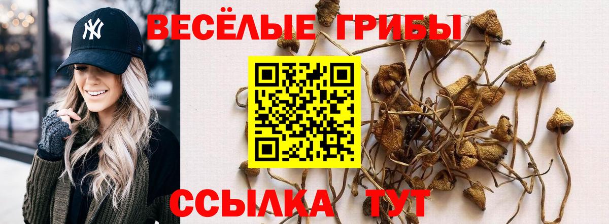 Озёрск  Галлюциногенные грибы мицелий  Галлюциногенные грибы MAGIC MUSHROOMS  Вход с VPN 